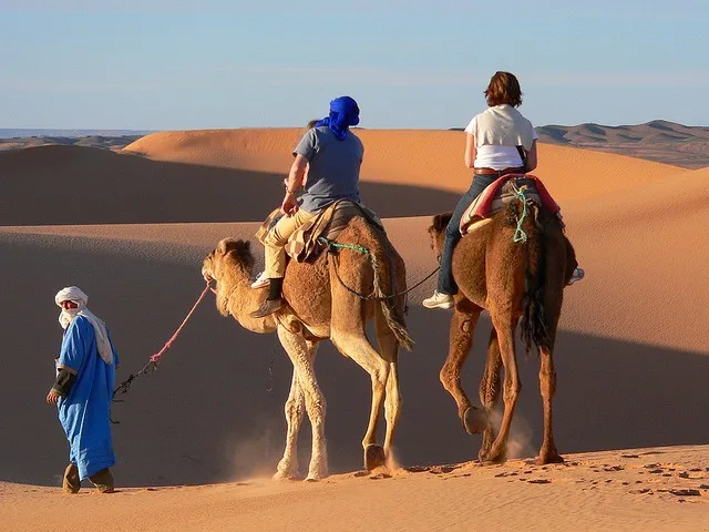 Camel Riding in Sinai Desert Camel Riding in Sinai Desert
